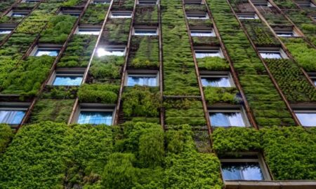 World Green Building