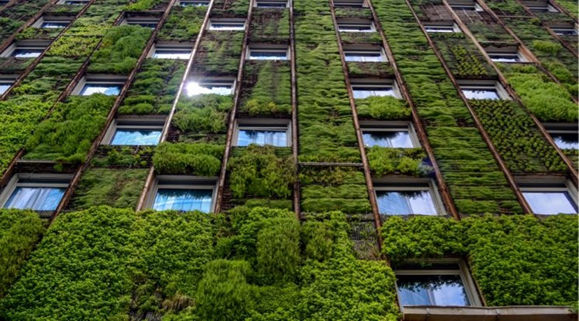 World Green Building