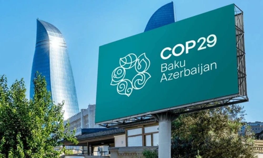 COP29