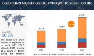 Industry Analysis